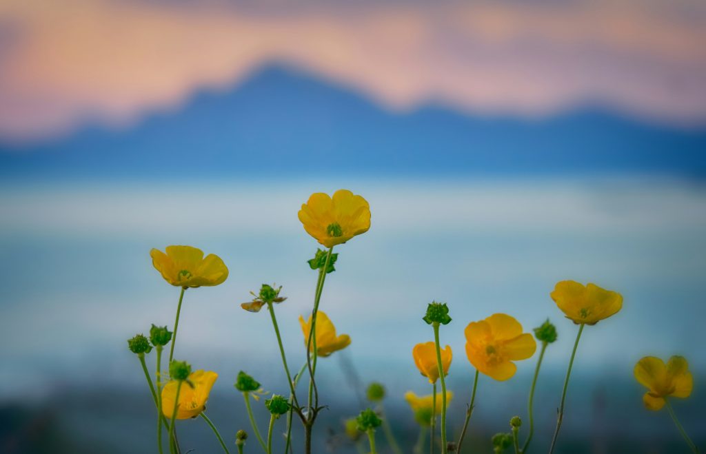 After divorce, swaying under the blue sky like a flower blossoming anew.